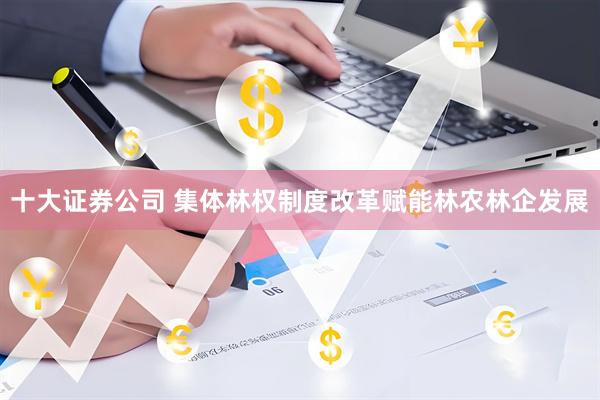 十大证券公司 集体林权制度改革赋能林农林企发展