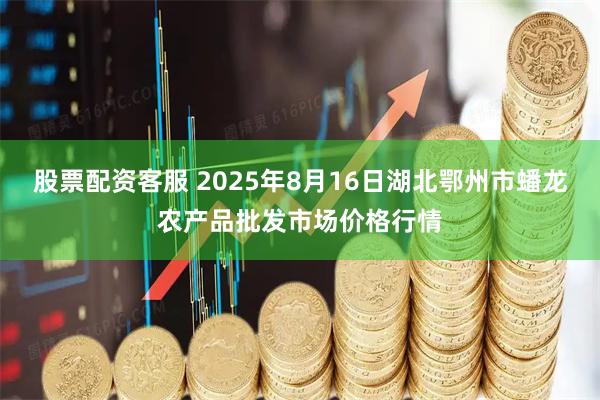 股票配资客服 2025年8月16日湖北鄂州市蟠龙农产品批发市场价格行情