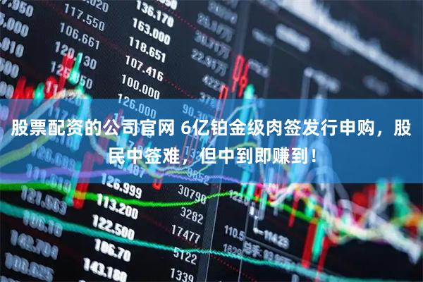 股票配资的公司官网 6亿铂金级肉签发行申购，股民中签难，但中到即赚到！
